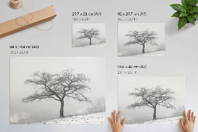 Grafika na ścianę Samotne drzewo zima spokój minimalizm harmonia