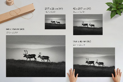 Plakat Renifery na wzgórzu minimalistyczna kompozycja