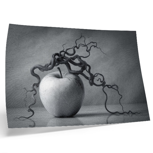 Grafika na ścianę Kontrast jabłka i gałęzi harmonijny monochromatyzm
