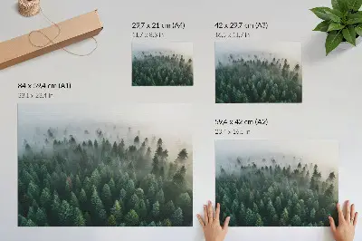 Plakat zielony las w mgle nastrojowy i tajemniczy