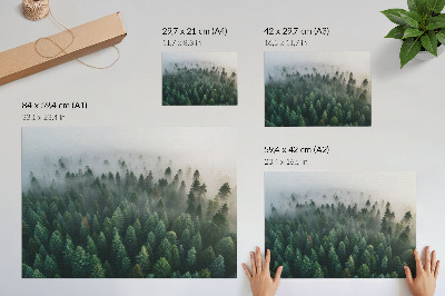 Plakat Zielony las w mgle nastrojowy tajemniczy