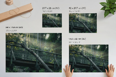 Plakat do salonu Drewniany most wśród zieleni i promieni słonecznych