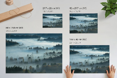 Plakat do salonu Zielone drzewa we mgle spokojny klimat stonowane barwy