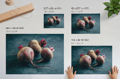 Plakat do salonu Trzy buraki minimalistyczny surowe piękno natury
