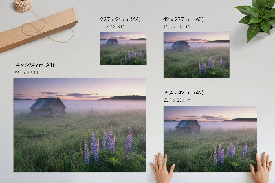 Plakat Drewniana chata malownicza mgła kwiaty przyroda