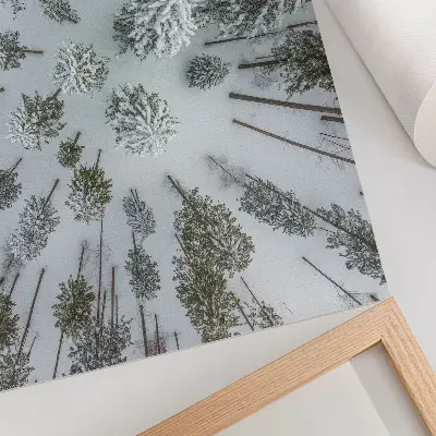 Wydruk na płótnie zimowy las wprowadzający spokój, minimalizm i naturalność