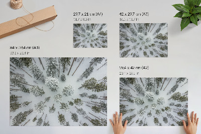 Wydruk na płótnie Zimowy las spokój minimalizm naturalność