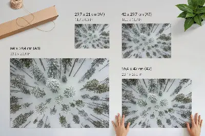 Wydruk na płótnie zimowy las wprowadzający spokój, minimalizm i naturalność