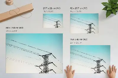 Plakat do salonu ptaki na liniach energetycznych na tle niebieskiego nieba