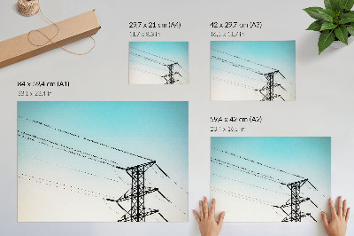 Plakat do salonu Ptaki na liniach energetycznych niebieskie niebo