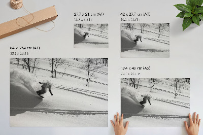 Plakat Snowboardzista w akcji śnieg drzewa kontrasty