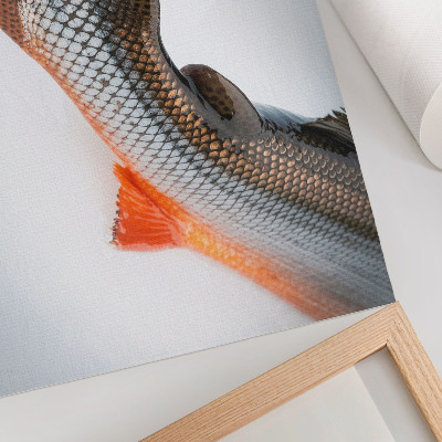 Plakat Naturalne łuski i dynamiczne kolory w zbliżeniu