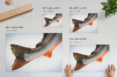 Plakat Naturalne łuski i dynamiczne kolory w zbliżeniu