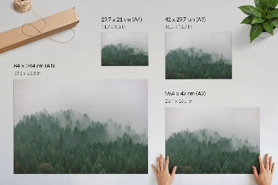 Grafika na ścianę Mglista panorama lasu pełna zieleni i szarości