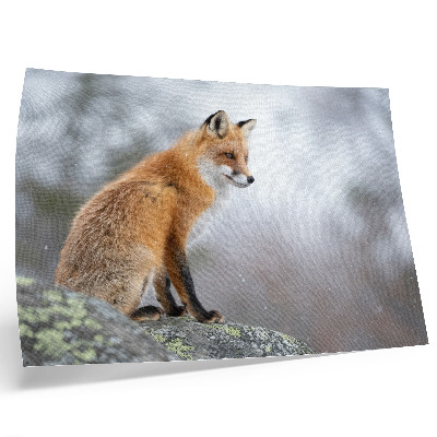 Nowoczesny plakat dekoracyjny Lis w zimowej scenerii delikatny spokój natura