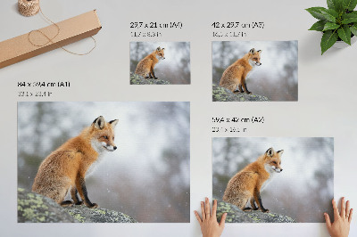 Nowoczesny plakat dekoracyjny Lis w zimowej scenerii delikatny spokój natura