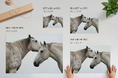 Nowoczesny plakat dekoracyjny Dwa konie w harmonii szarości i bieli