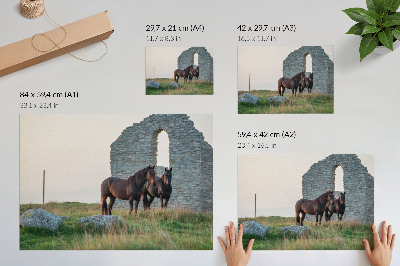 Grafika na ścianę Kontrast ruin i koni w zieleni