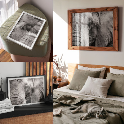 Plakat do salonu Monochromatyczny słoń detale minimalizm elegancja