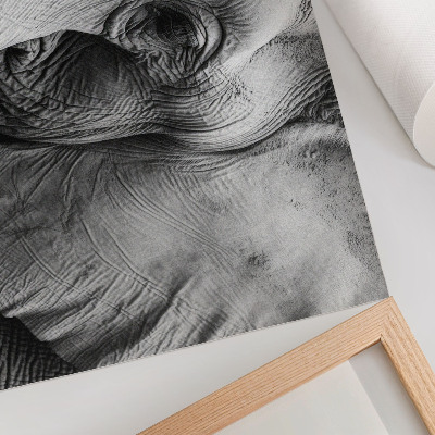 Plakat do salonu Monochromatyczny słoń detale minimalizm elegancja