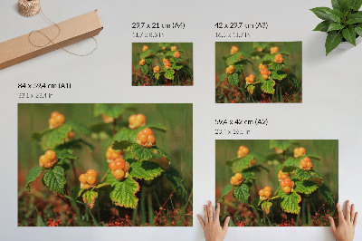 Wydruk na płótnie Zielone liście pomarańczowe owoce naturalny urok