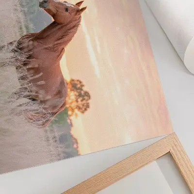 Nowoczesny plakat dekoracyjny koń na łące o poranku w pastelowych kolorach