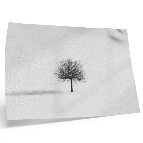 Grafika na ścianę minimalistyczny motyw zimowy z pejzażem drzew w harmonii