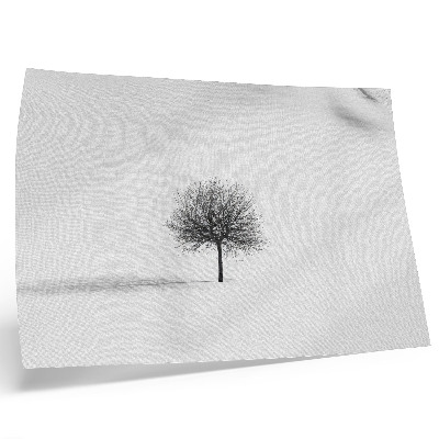 Grafika na ścianę Minimalistyczny motyw zimowe drzewo pejzaż harmonia