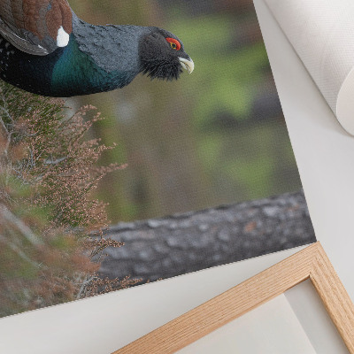 Plakat do salonu Kolory ptaka las natura spokojny klimat