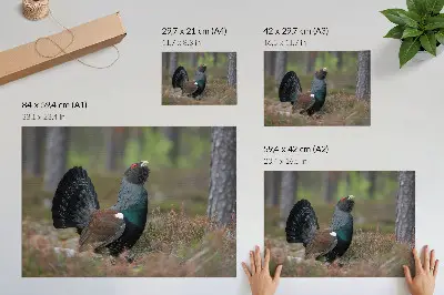 Plakat do salonu z motywem ptaka w spokojnym klimacie natury