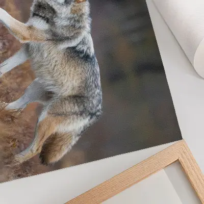 Wydruk na płótnie wilk w ruchu w dzikim krajobrazie natury