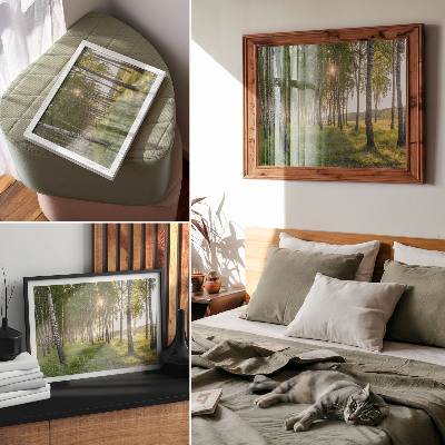 Plakat Brzozowy las promienie słońca symetria zieleń