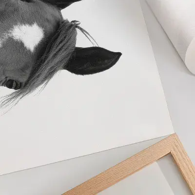 Plakat do salonu czarno-biała fotografia przedstawiająca elegancję konia