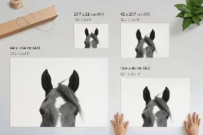 Plakat do salonu czarno-biała fotografia przedstawiająca elegancję konia