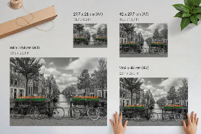 Nowoczesny plakat dekoracyjny Urokliwy widok rowery kanał tulipany czerń pomarańcz