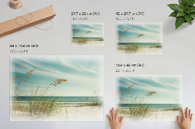 Wydruk na płótnie Plaża trawy ocean niebo spokój