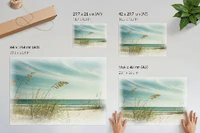 Wydruk na płótnie plaża z trawą, oceanem i niebem w spokojnym klimacie