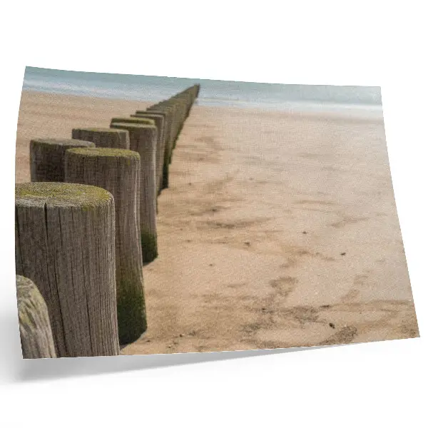 Plakat drewniane paliki na plaży z widokiem na spokojne morze w otoczeniu natury