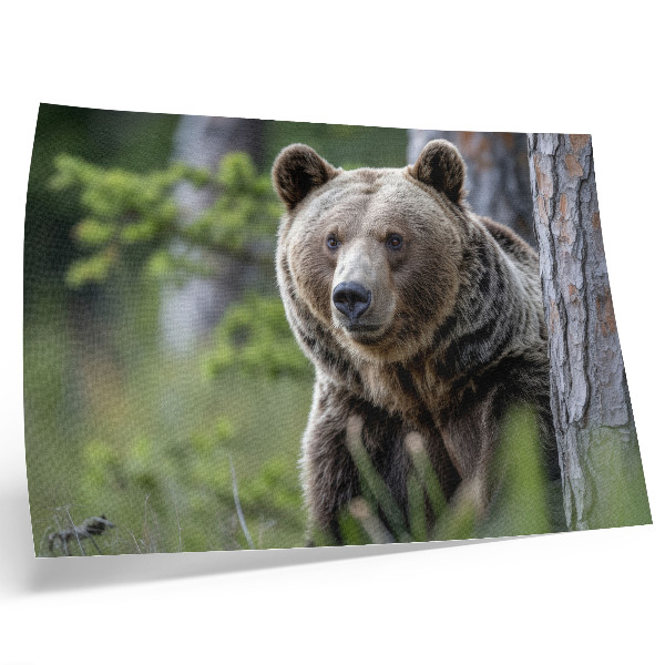 Nowoczesny plakat dekoracyjny Niedźwiedź w lesie pełen naturalnego uroku