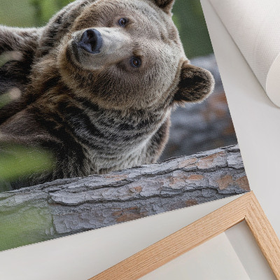 Nowoczesny plakat dekoracyjny Niedźwiedź w lesie pełen naturalnego uroku