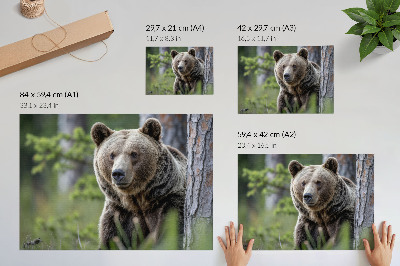 Nowoczesny plakat dekoracyjny Niedźwiedź w lesie pełen naturalnego uroku