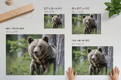 Nowoczesny plakat dekoracyjny niedźwiedź w leśnej scenerii