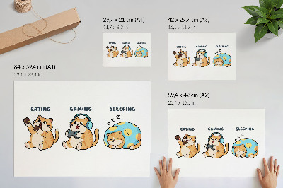 Plakat do salonu Wesołe koty ilustracyjne urok zabawa