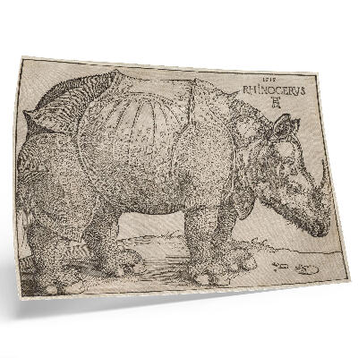 Nowoczesny plakat dekoracyjny Nosorożec (1515) autorstwa Albrechta Dürera