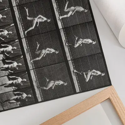 Plakat tablica 60 przedstawiająca lokomocję zwierząt z 1887 roku autorstwa Eadwearda Muybridge’a