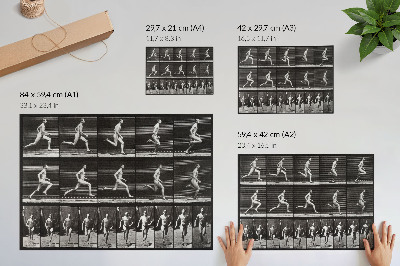 Plakat Tablica 60 przedstawiająca lokomocję zwierząt (1887) sfotografowana przez Eadwearda Muybridge’a