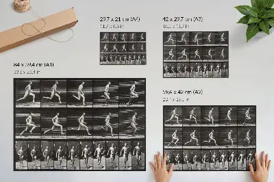 Plakat tablica 60 przedstawiająca lokomocję zwierząt z 1887 roku autorstwa Eadwearda Muybridge’a
