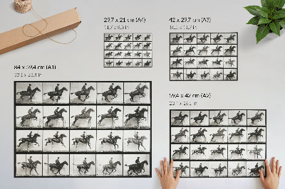 Nowoczesny plakat dekoracyjny Tablica 640 przedstawiająca lokomocję zwierząt (1887), jazda konna sfotografowana przez Eadwearda Muybridge’a