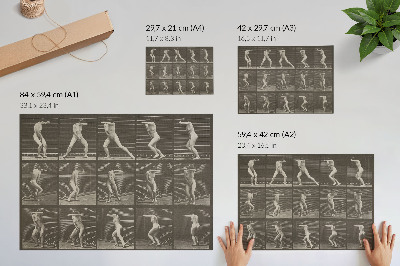 Wydruk na płótnie Numer tablicy 73. Odwrócenie się ze zdziwienia i ucieczka (1887) autorstwa Eadwearda Muybridge’a