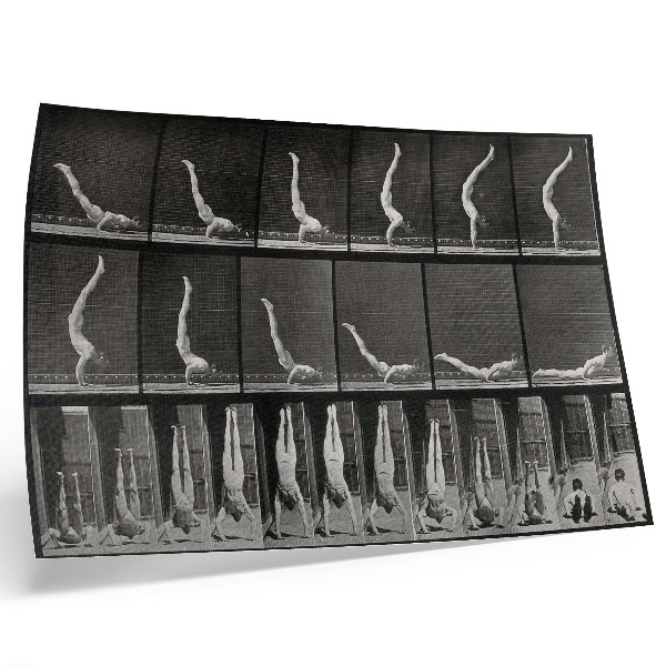 Plakat do salonu Mężczyzna stojący na rękach z pozycji leżącej. Fototyp wg Eadwearda Muybridge'a, 1887